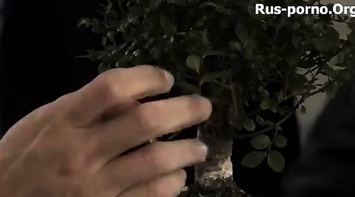 Жёсткий трах с влажными дырками и горячими сиськами